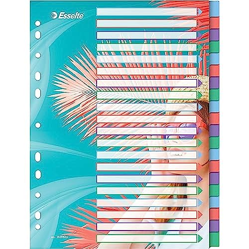 esselte-colour-breeze-a4-register-1-20-20-trennbl-tter-mehrfarbig image 7