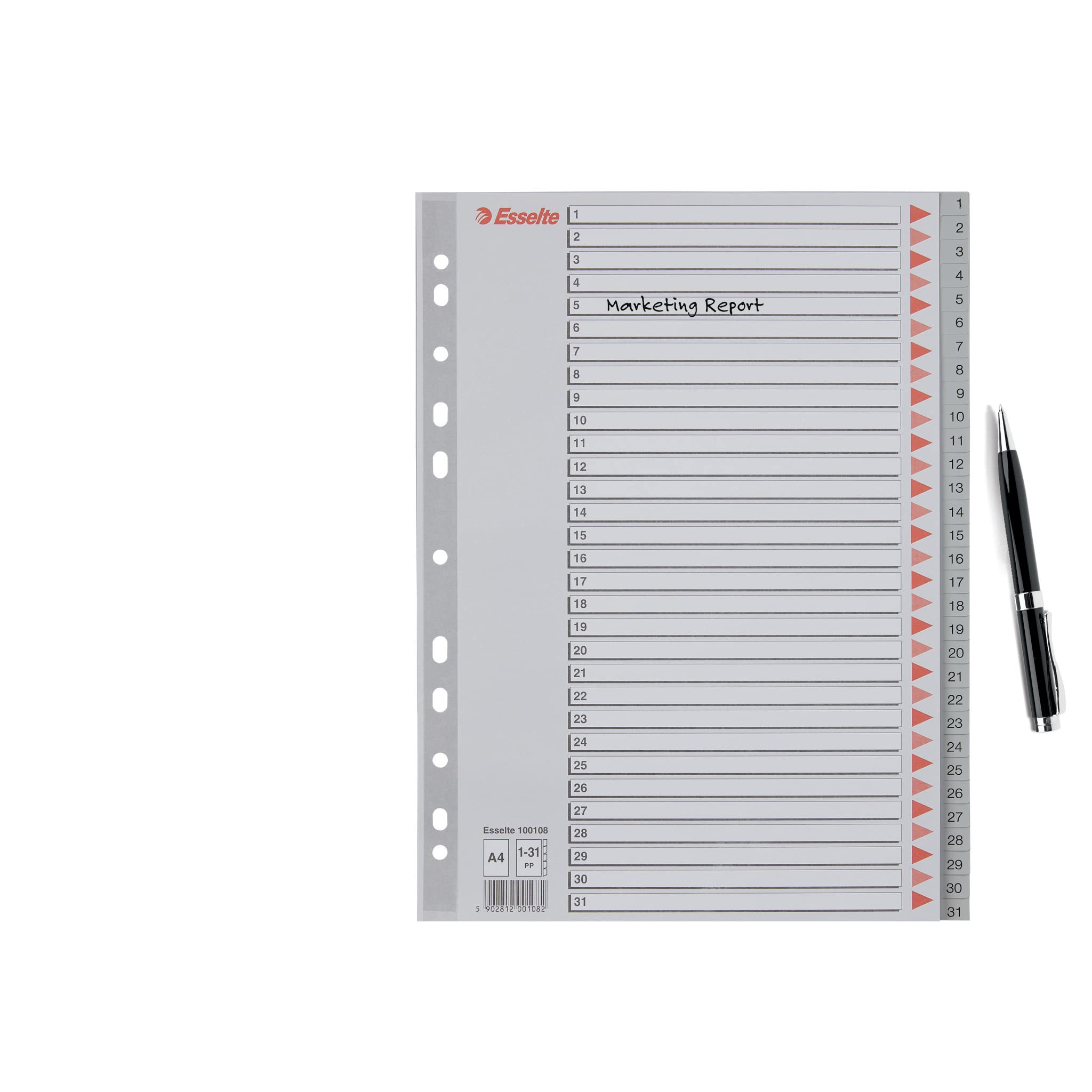 esselte-register-a4-1-31-grau-berbreite-100108 image 6