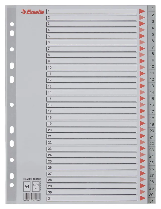 esselte-register-a4-1-31-grau-berbreite-100108 image 1