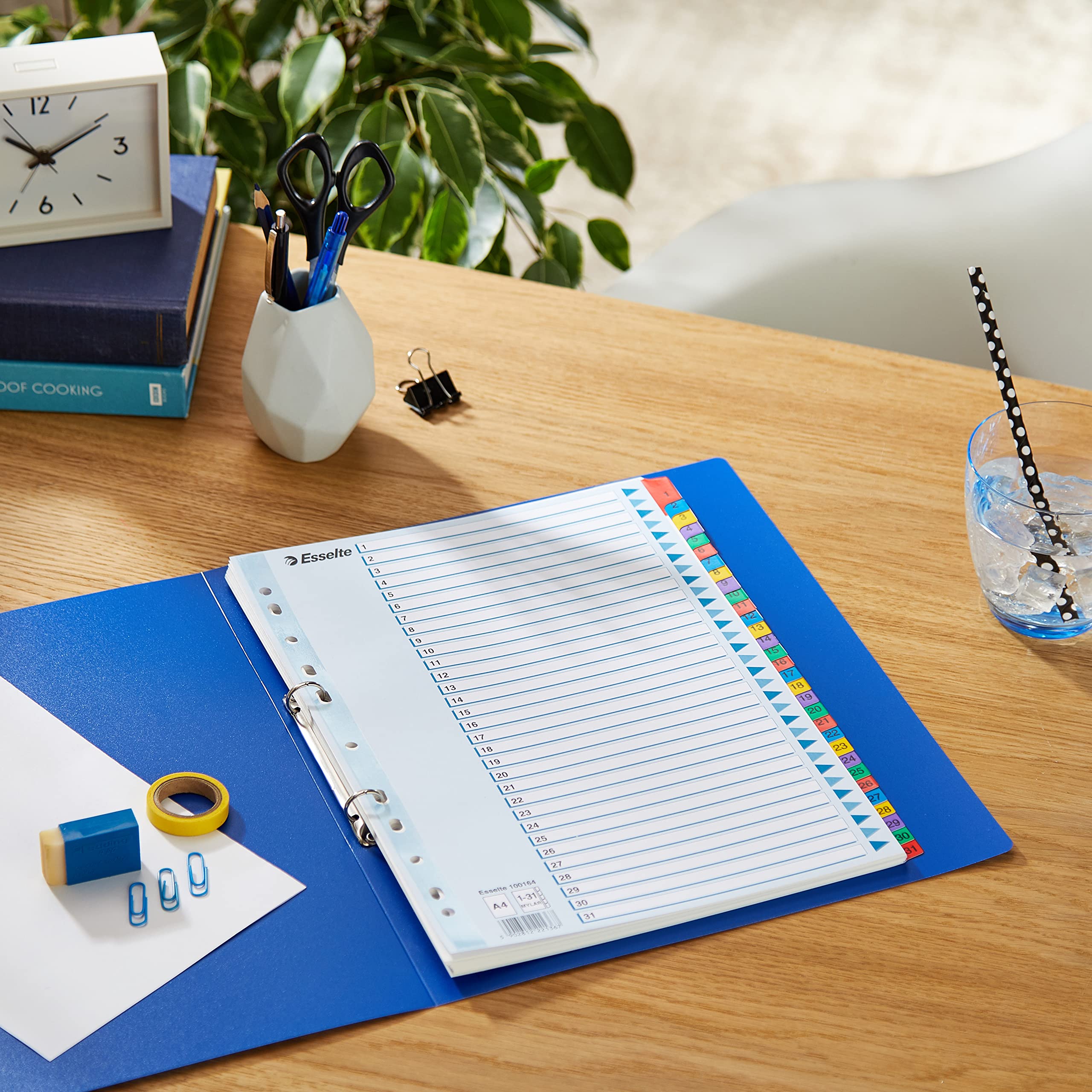 esselte-register-a4-1-31-mit-deckblatt-blau-karton-100164 image 8