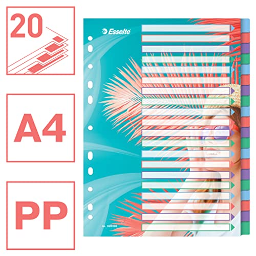 esselte-colour-breeze-a4-register-1-20-20-trennbl-tter-mehrfarbig image 8