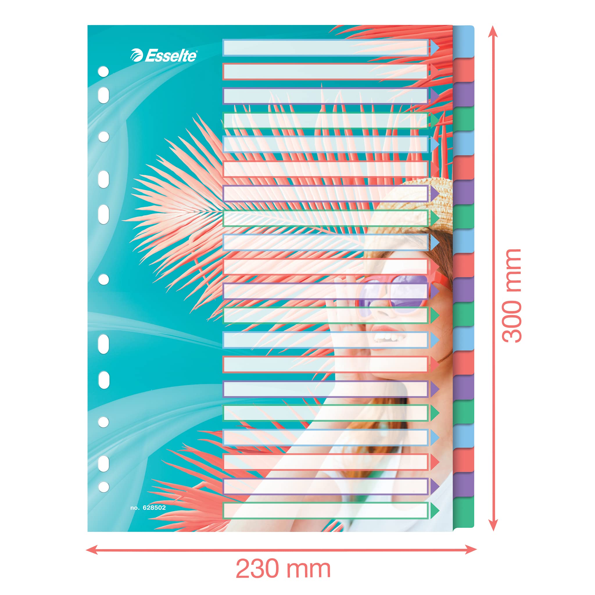 esselte-colour-breeze-a4-register-1-20-20-trennbl-tter-mehrfarbig image 3