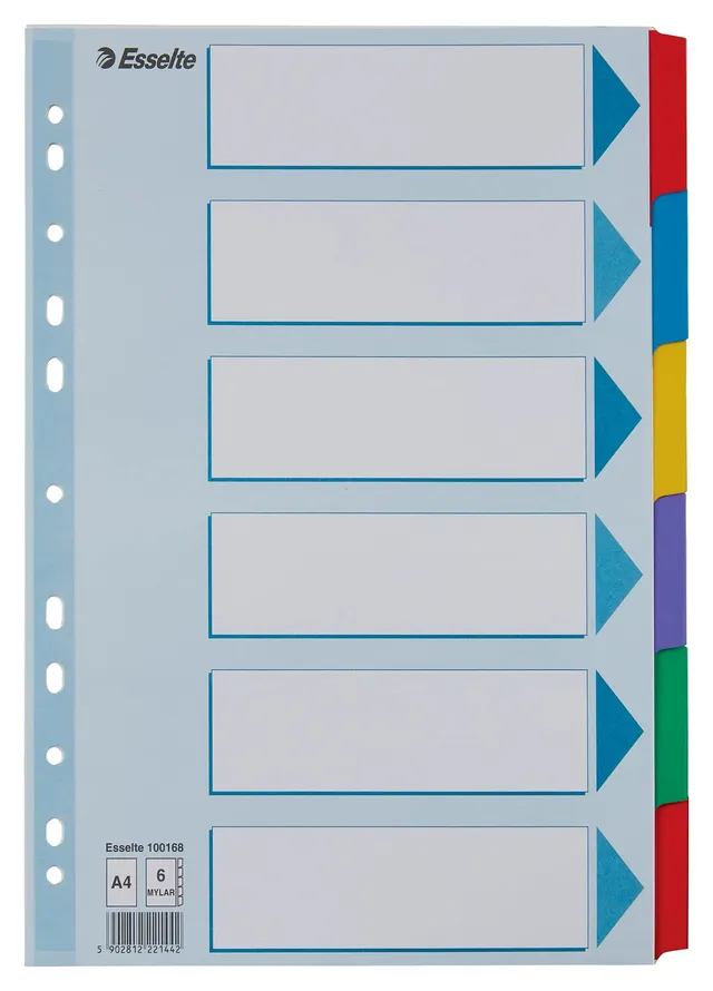esselte-register-a4-6-teilig-mehrfarbig-aus-recyclingkarton image 1