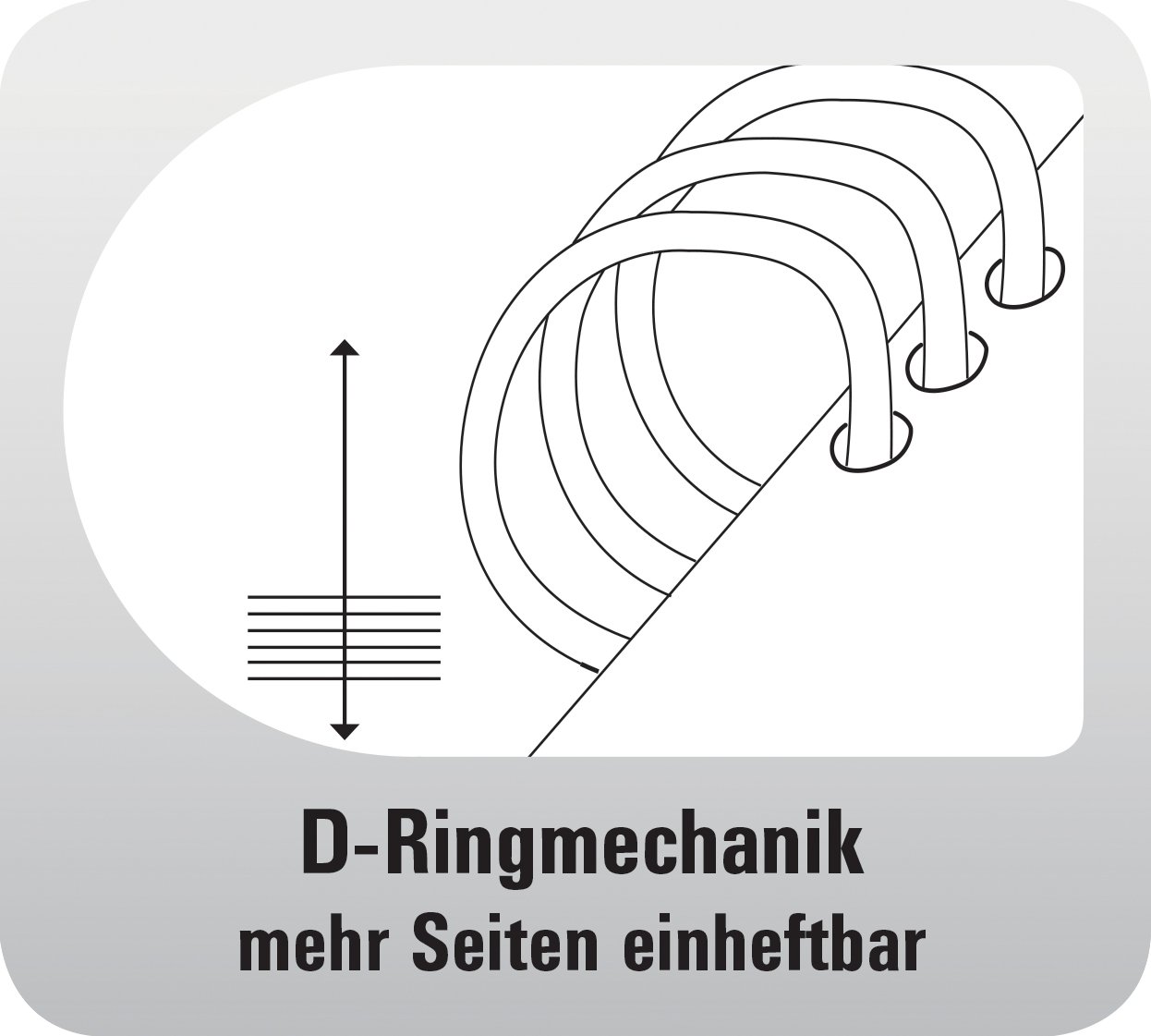 chronoplan-50101-terminplaner-mappe-a5-rindnappaleder-schwarz-ohne-kalendarium image 6