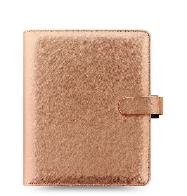 filofax-saffiano-metallic-a5-organiser-sale image 1
