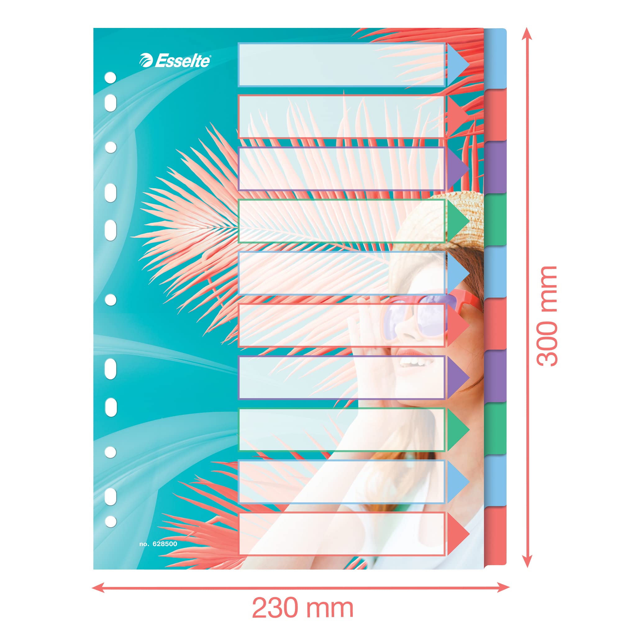 esselte-colour-breeze-a4-register-1-10-10-trennbl-tter-mehrfarbig image 4