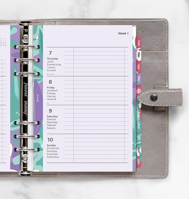 filofax-2027-illustrated-diary-pack-a5-1-woche-2-seiten-multilingual image 2