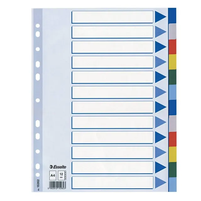 esselte-register-a4-12-teilig-mehrfarbig-kunststoff-mit-deckblatt image 1