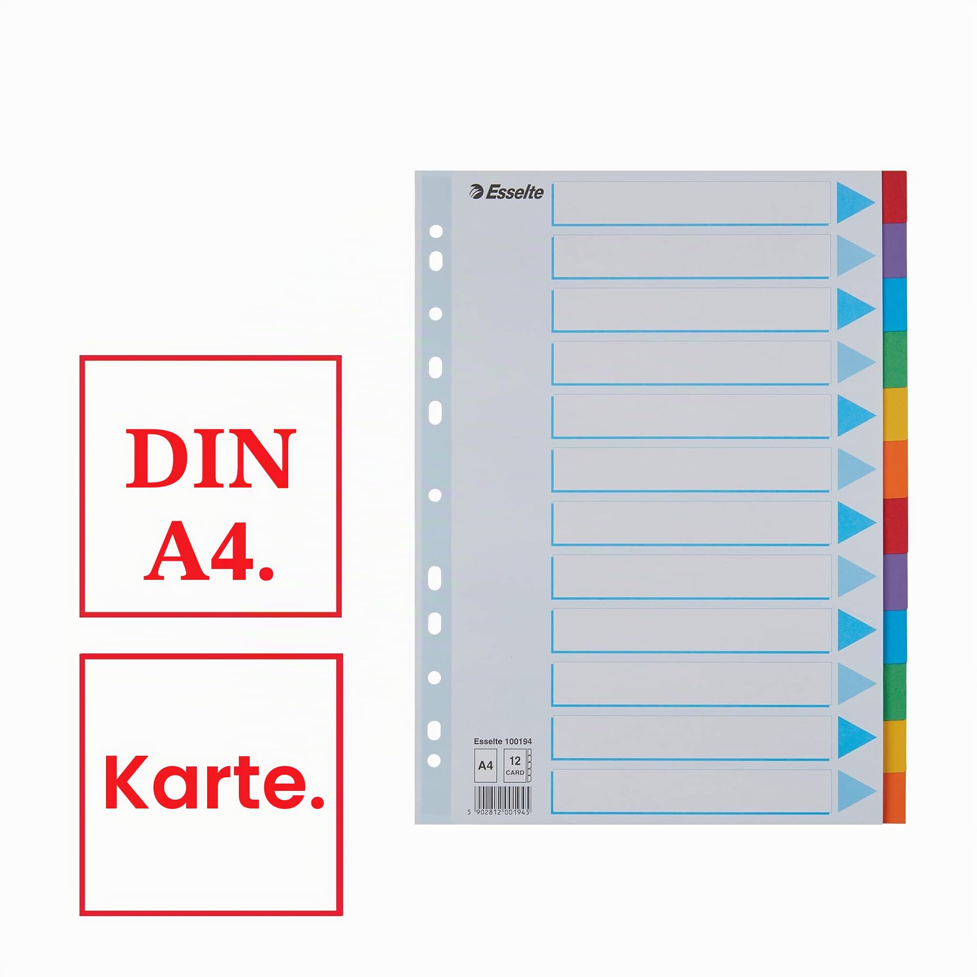 esselte-register-a4-12-teilig-mehrfarbig-recyclingkarton-100194 image 2