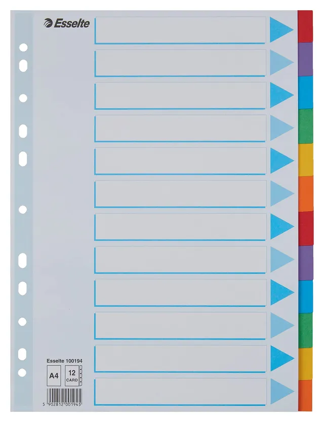 esselte-register-a4-12-teilig-mehrfarbig-recyclingkarton-100194 image 1