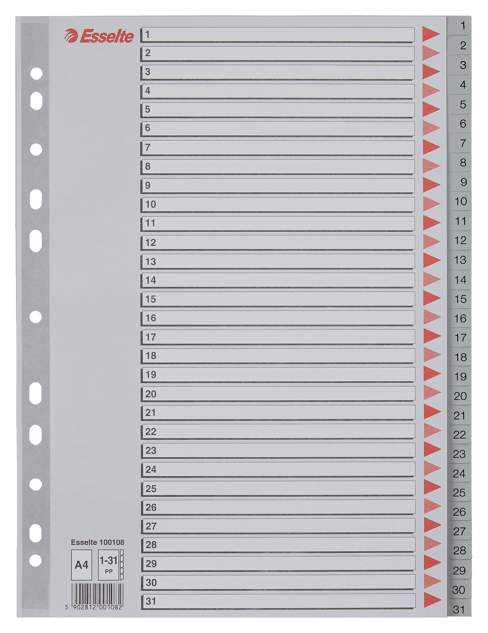 esselte-register-a4-1-31-grau-berbreite-100108 image 1