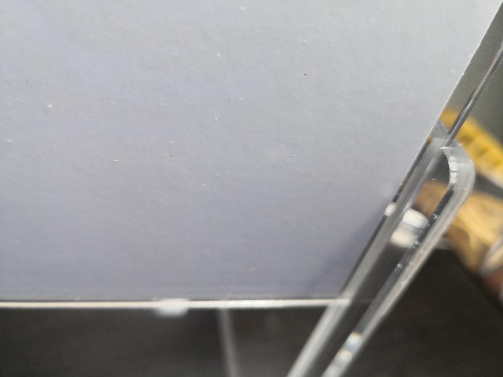 Schnelle Hilfe im Tierheim