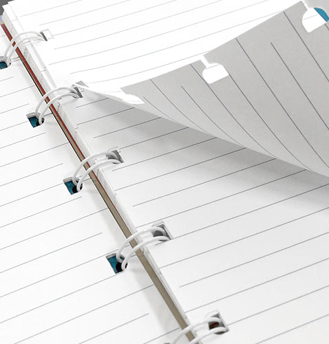 filofax-garden-a5-nachf-llbares-notizbuch-liniert-spiralbindung image 5