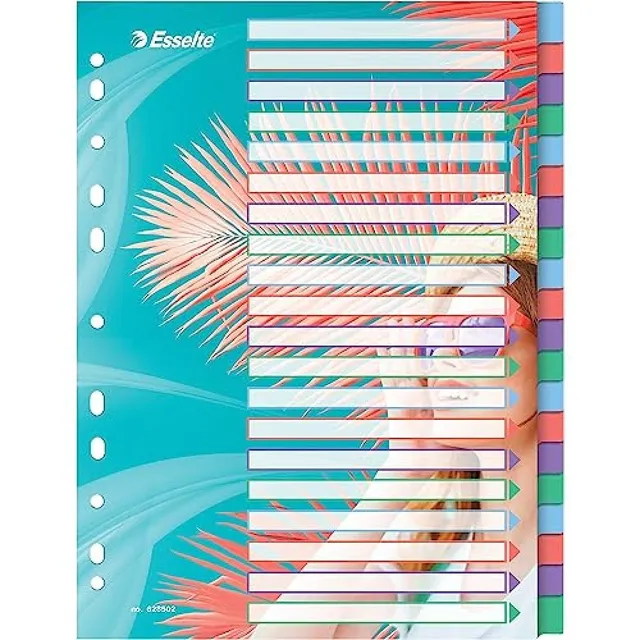 esselte-colour-breeze-a4-register-1-20-20-trennbl-tter-mehrfarbig image 1