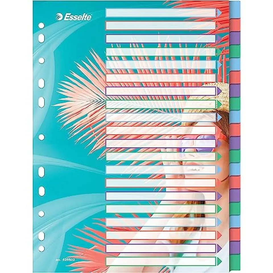 esselte-colour-breeze-a4-register-1-20-20-trennbl-tter-mehrfarbig image 1