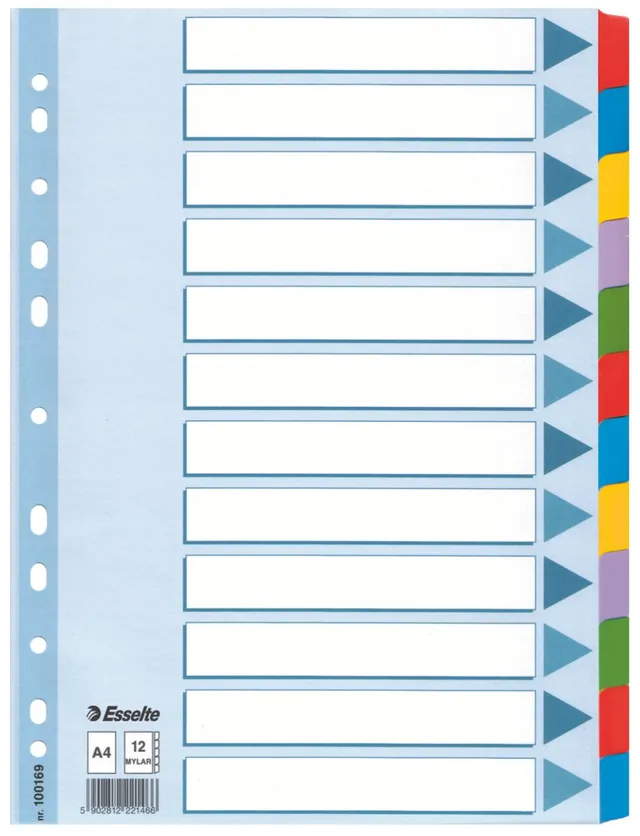 esselte-register-f-r-a4-deckblatt-und-12-trennbl-tter-mit-taben-blau-mehrfarbig- image 1