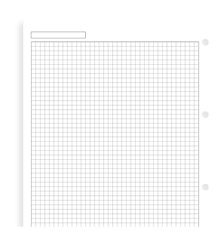 filofax-notizpapier-wei-kariert-a4-20-blatt image 4