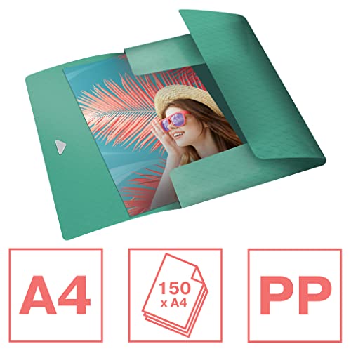 esselte-colour-breeze-3-f-cher-kunststoffordner-a4-gr-n-626223 image 8